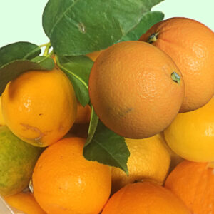 Pomaranče
